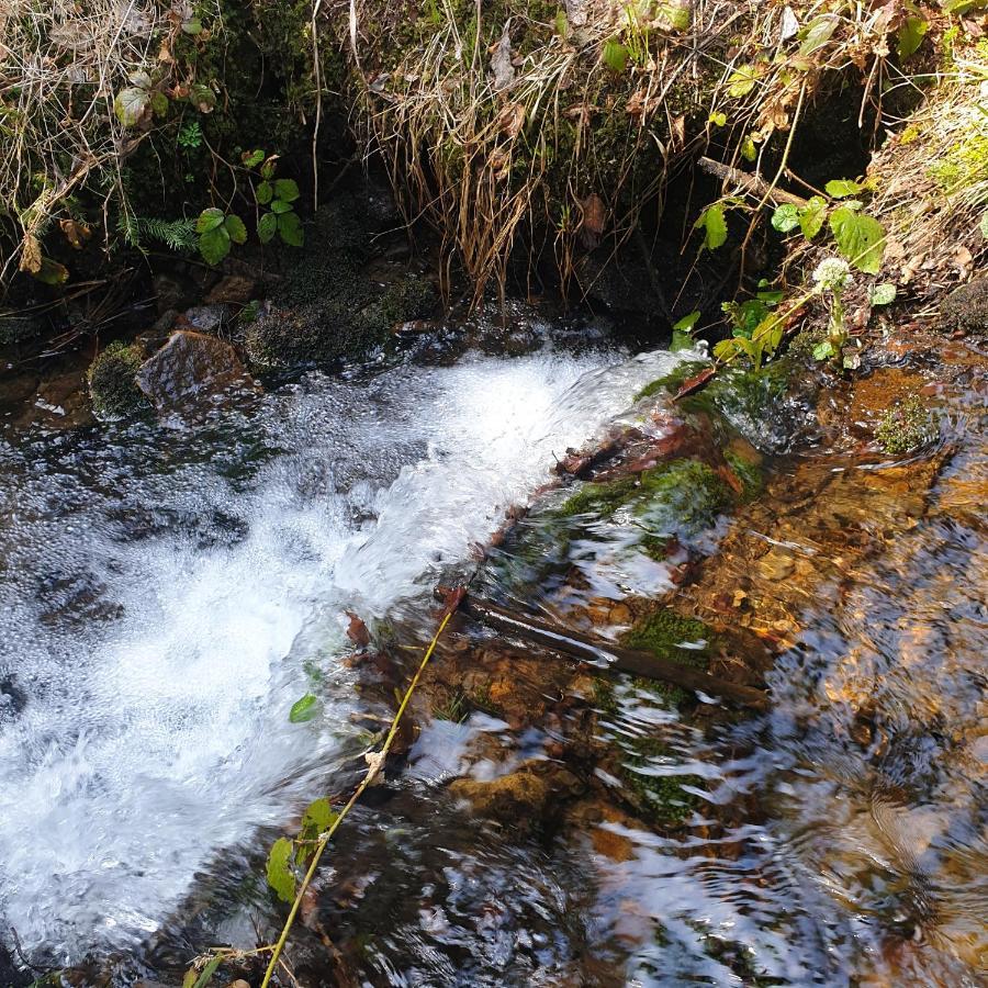 Chata Goralska Wojtasowka Kamesznica ภายนอก รูปภาพ