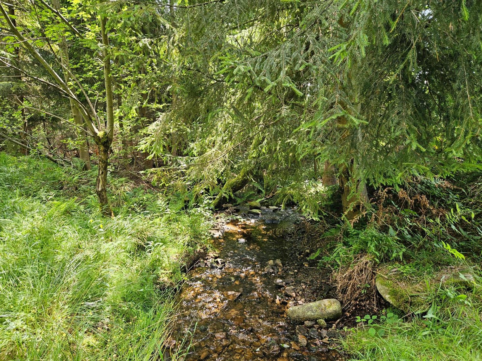 Chata Goralska Wojtasowka Kamesznica ภายนอก รูปภาพ