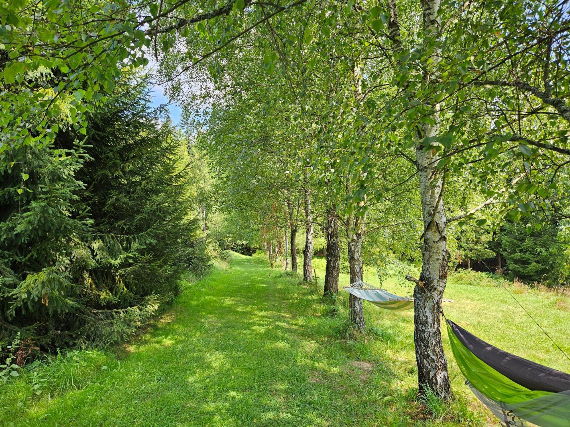 Chata Goralska Wojtasowka Kamesznica ภายนอก รูปภาพ