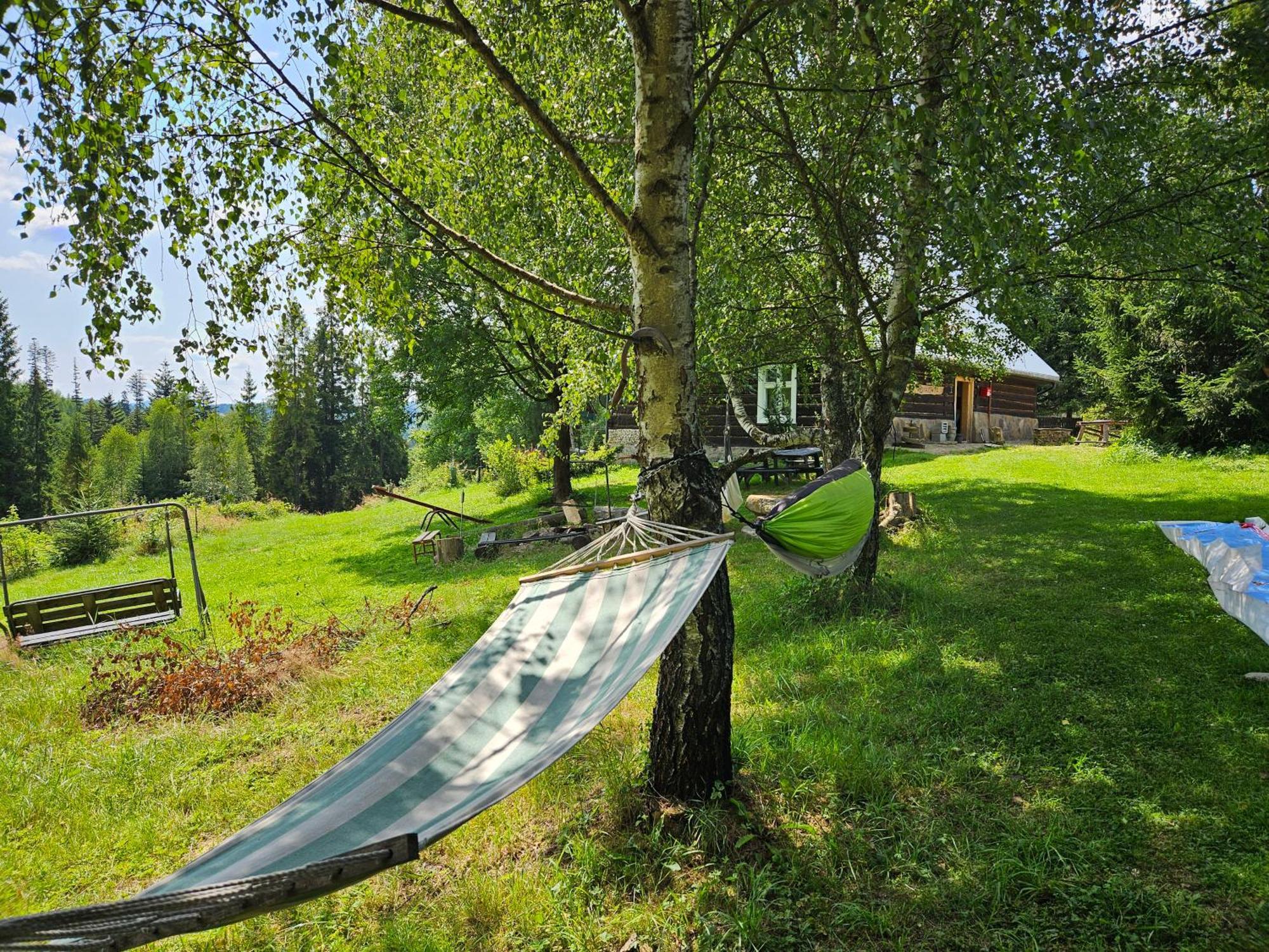 Chata Goralska Wojtasowka Kamesznica ภายนอก รูปภาพ