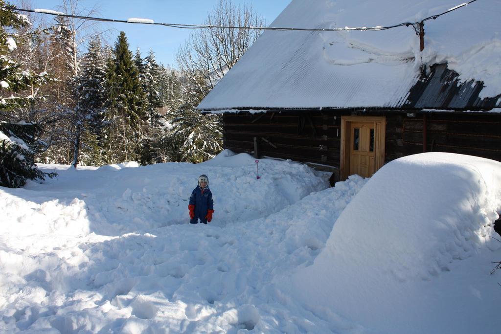 Chata Goralska Wojtasowka Kamesznica ภายนอก รูปภาพ